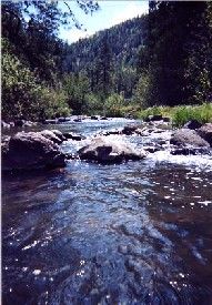 The Black River in Apache-Sitgreaves National Forest, Arizona