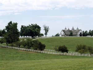 A Blue Grass Horse farm in Kentucky