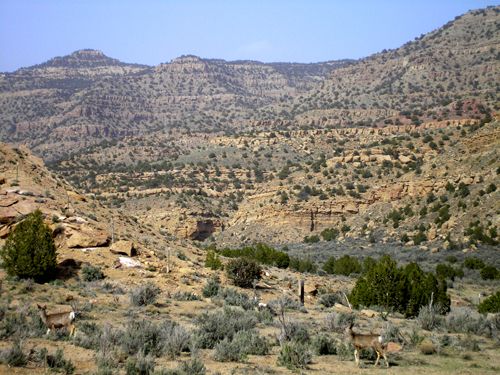 Sego Canyon Utah