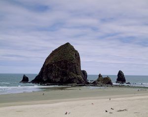 The rocky Oregon Coast