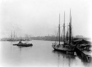 Steamboats in the Savannah River, Georgia