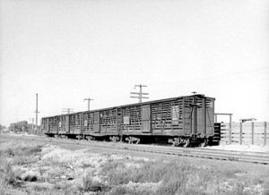 Cattle Cars