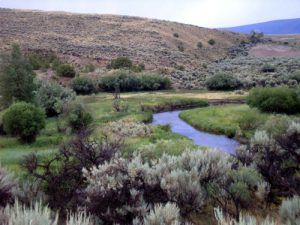 Grasshopper Creek, near Bannack, Montana