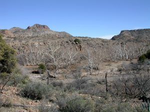 Skeleton Canyon on the New Mexico-Arizona border