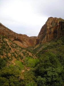 A view from Zion National Park. Photo by Kathy Alexander