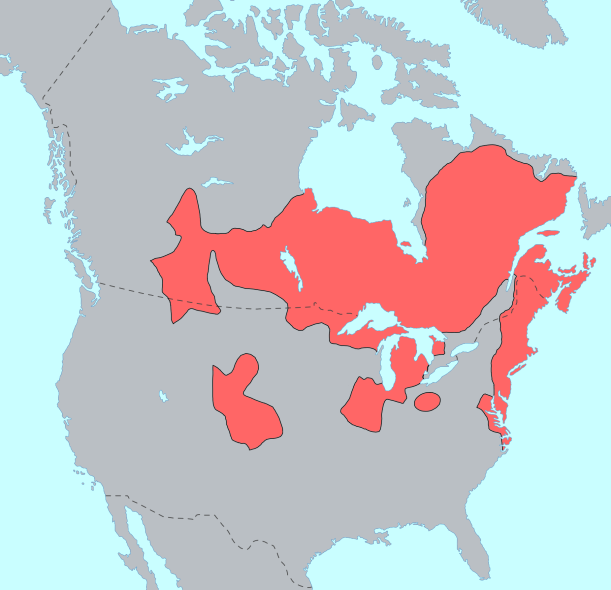 Algonquian Language Distribution courtesy of Wikipedia
