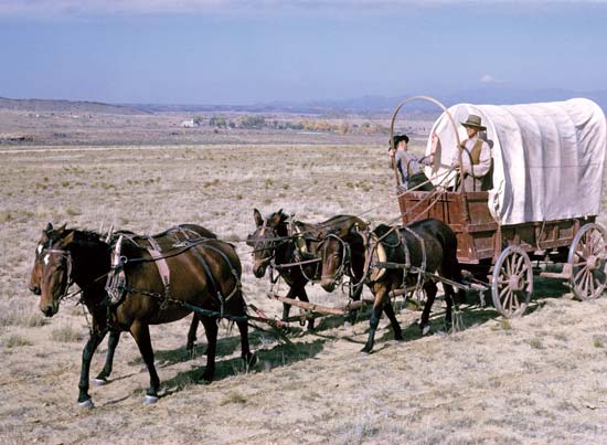 how far did a covered wagon travel in a day