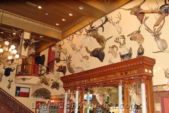 Buckhorn Saloon Interior, by Kathy Alexander.