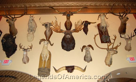 Buckhorn Saloon Interior, by Kathy Alexander.