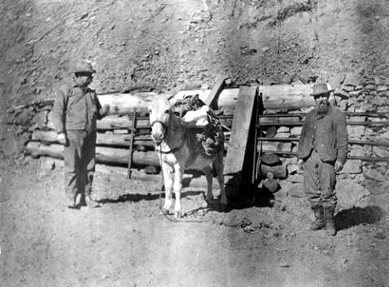 Eureka, Colorado Miners