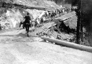 Pack trains of mules hauled the ore down from the Sunnyside Mine to Eureka and returned with supplies. 