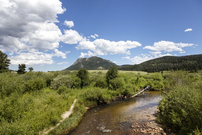 A stream in Rocky Mountain National Park by Carol Highsmith.