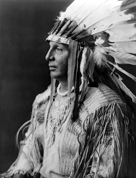Arikara Chief or Brave White Shield by Edward S. Curtis, 1908