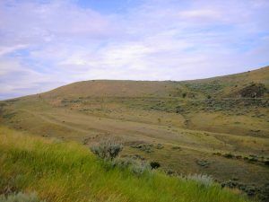Bozeman Trail, Montana by Kathy Alexander