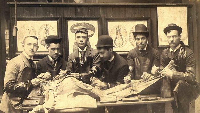 Medical Students With a Cadaver in the 19th Century