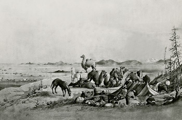 Camel Corps unit pauses en route to Carson Valley, Nevada, 1860.