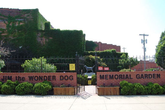 Jim the Wonder Dog Memorial Garden, Marshall, Missouri by Kathy Weiser-Alexander.
