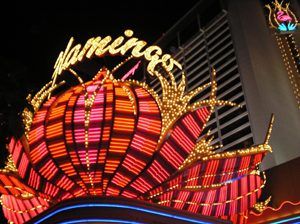 Flamingo Hotel & Casino, Las Vegas, Nevada by Amy Stark.