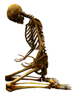 Skeleton Kneeling