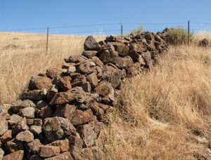 Stone wall in San Jose, California park