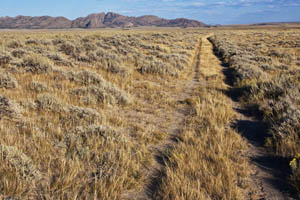 Oregon Trail, Wyoming courtesy the Bureau of Land Management.