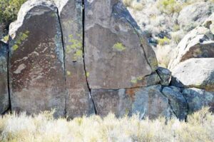 Petroglyphs in the Mount Irish Nevada Wilderness