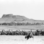 Riding a buffalo on Bean Day in Wagon Mound, New Mexico by Russell Lee, 1939.