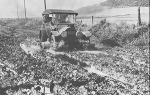 1913 Dirt Road