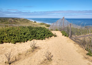 Cape Cod National Seashore by the Department of Interior.