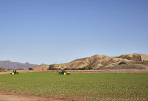 Fertile field near Yuma, Arizona by Carol Highsmith.