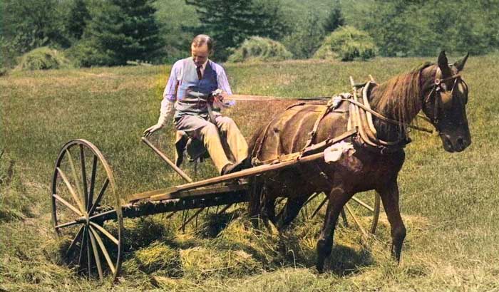 Calvin Coolidge at Fathers Farm in Vermont. 