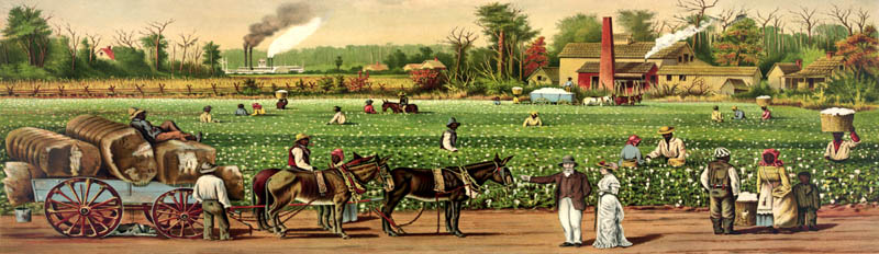 Cotton plaqntation on the Mississippi River by Currier & Ives, 1884.