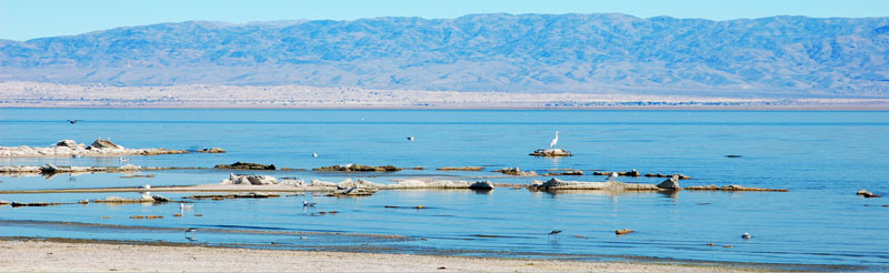 West side of the Salton Sea by Kathy Alexander.