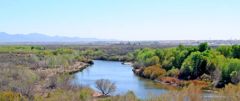 Colorado River in Yuma, Colorado by Kathy Alexander.