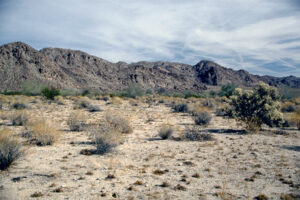Colorado Desert, courtesy Wikipedia.
