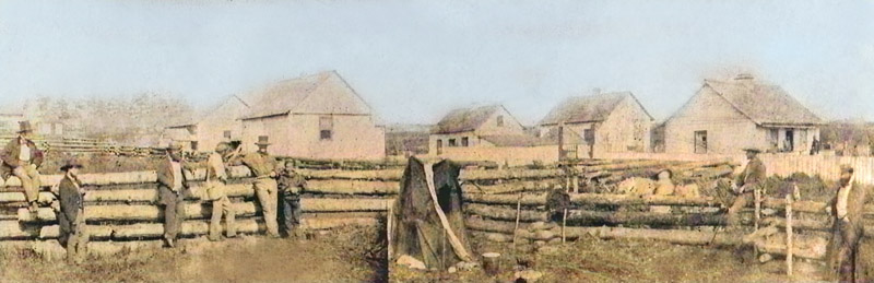 Belle Vue Sheep Farm, September 1859.